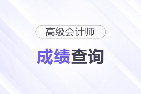 高级 08-19 高级会计职称成绩多