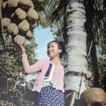 中国民族图片库