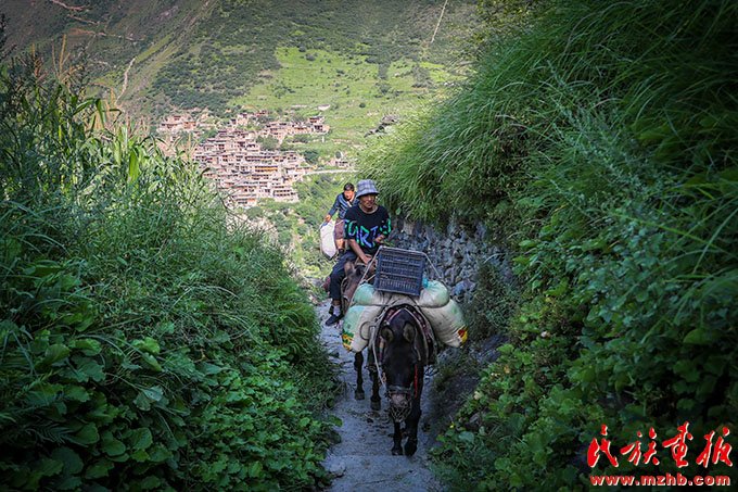 大美中国|木里,美成了人间仙境 美丽中国 第8张-华体网体育官方网站正规渠道 $(function() { $("