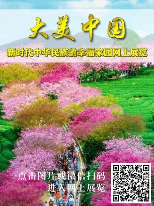 学习贯彻党的二十届四中全会精神